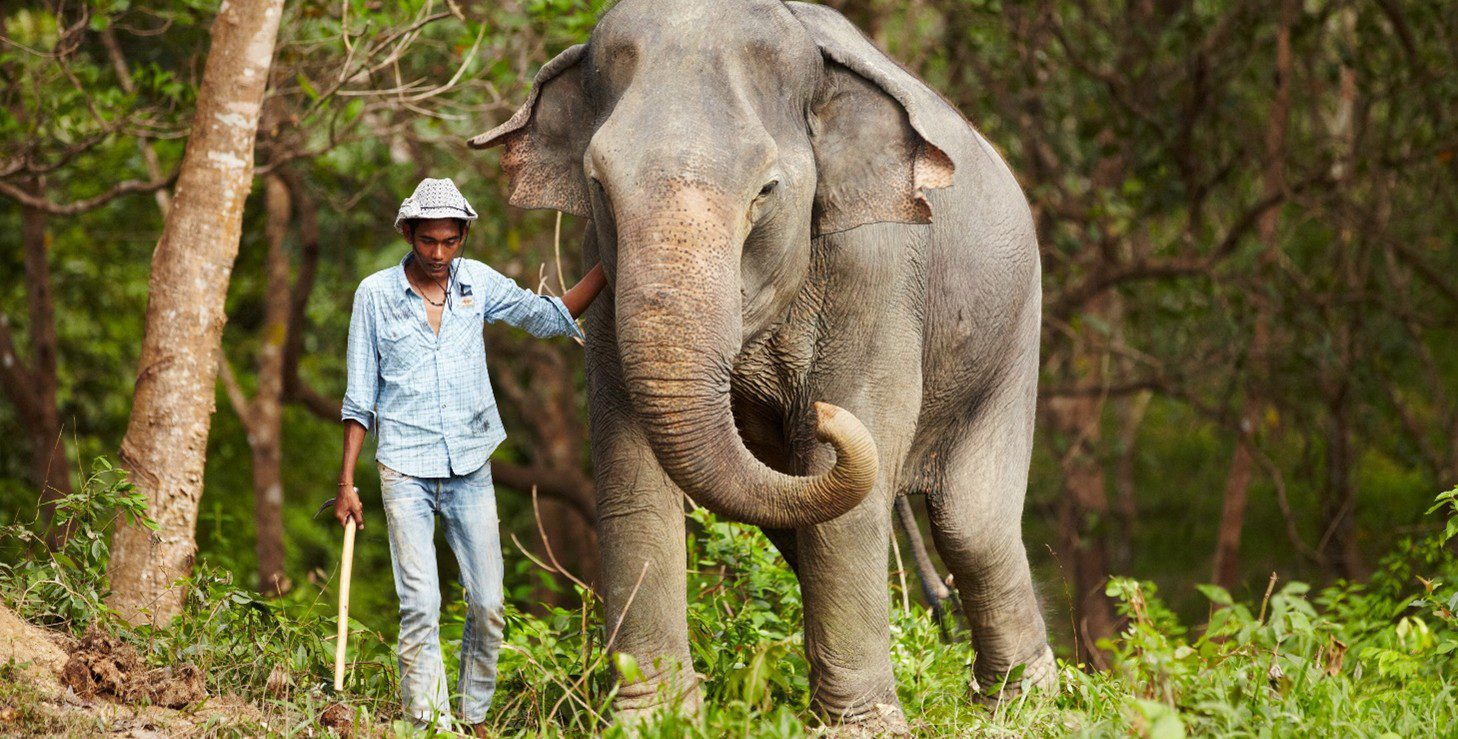 Lanta Elephant Sanctuary